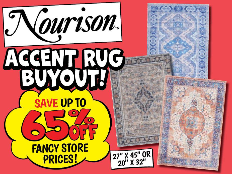 Nourison Accent Rug Buyout