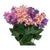 511773 B Medium Artificial Flowers