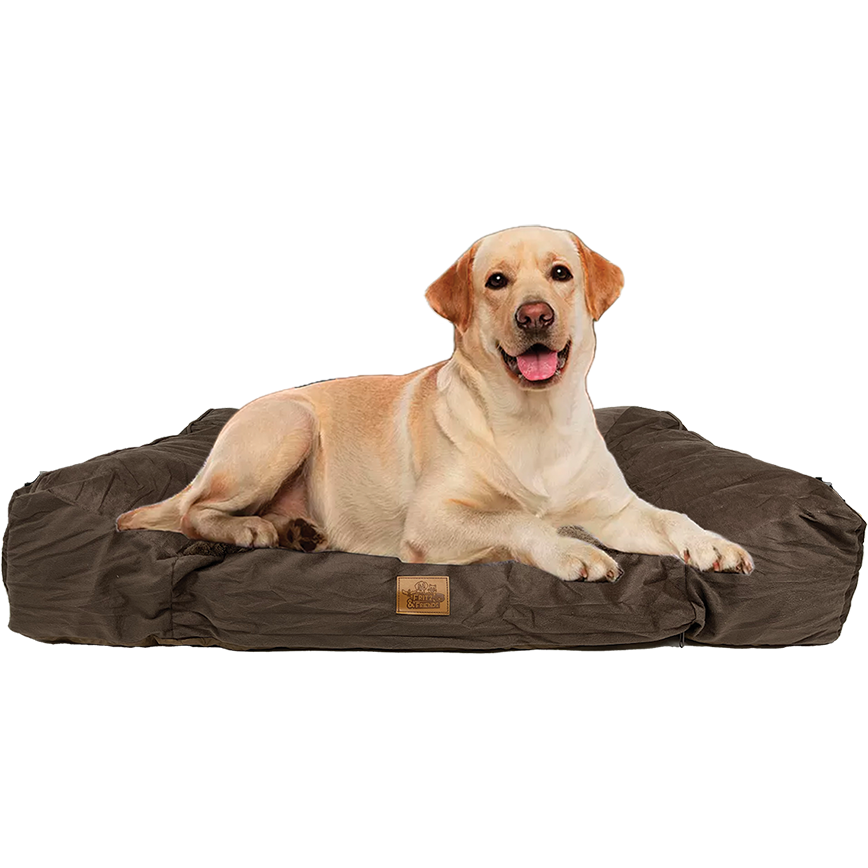 434479 Fitz &amp; Friends Memory Foam Pet Bed 27x38