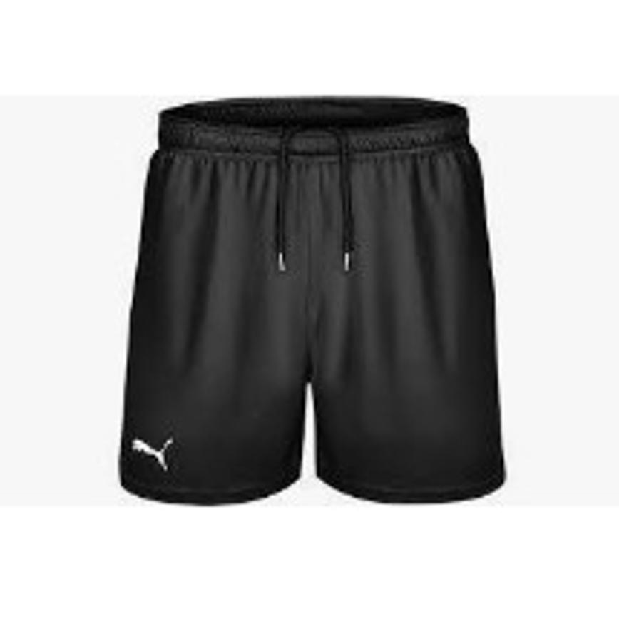 565594_PUMA MENS SHORTS &amp; TEES